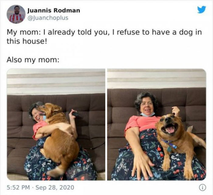 mom who didnt want a damn dog